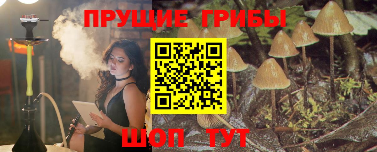 Галлюциногенные грибы GOLDEN TEACHER Касимов