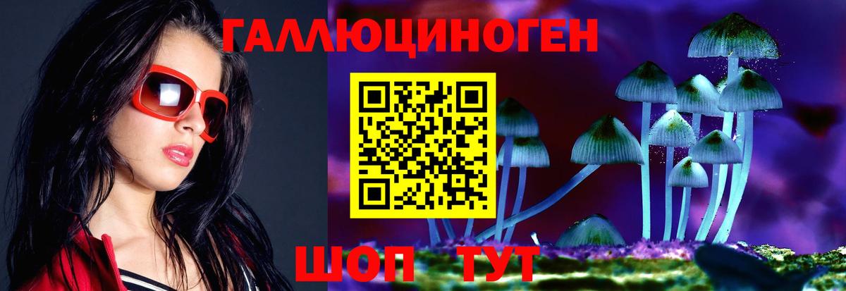 где купить наркотик  Вход с VPN  Касимов  Галлюциногенные грибы мухоморы 