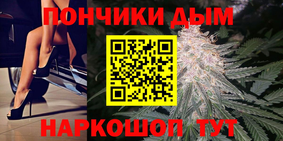 Бошки марихуана план Касимов